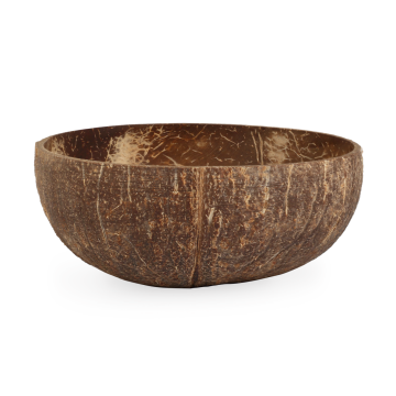 Natural Coconut Bowl