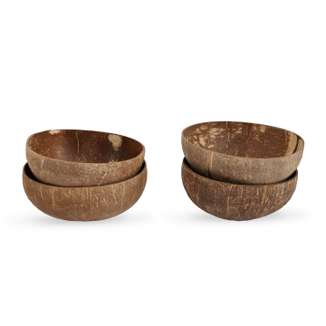 Natural Coconut Bowl set of 4