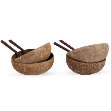Natural Coconut Bowl & Spoon Set of 4