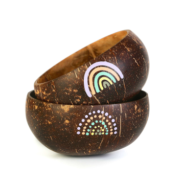 Rainbow Original 2-Piece Coconut Bowl